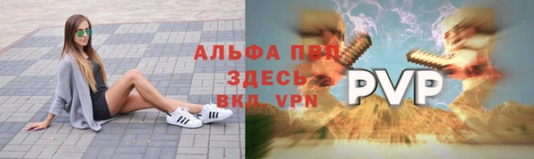 spice Лагань