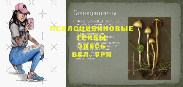 дурь Липки