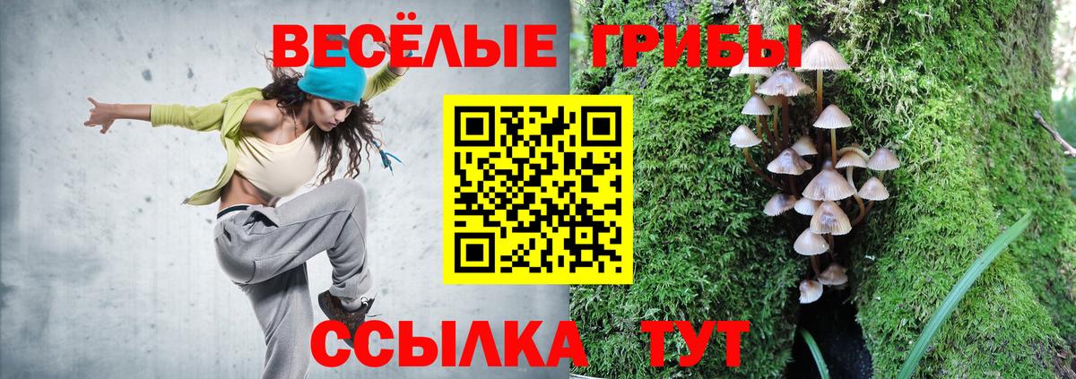 Галлюциногенные грибы Cubensis  Вход с VPN  Назрань  Галлюциногенные грибы GOLDEN TEACHER 