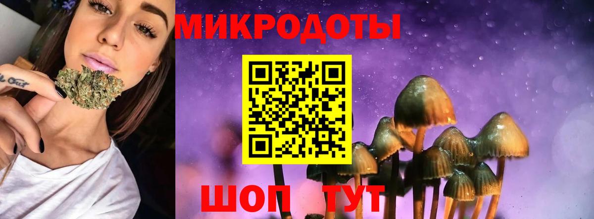 как найти наркотики  Назрань  Галлюциногенные грибы Psilocybe 