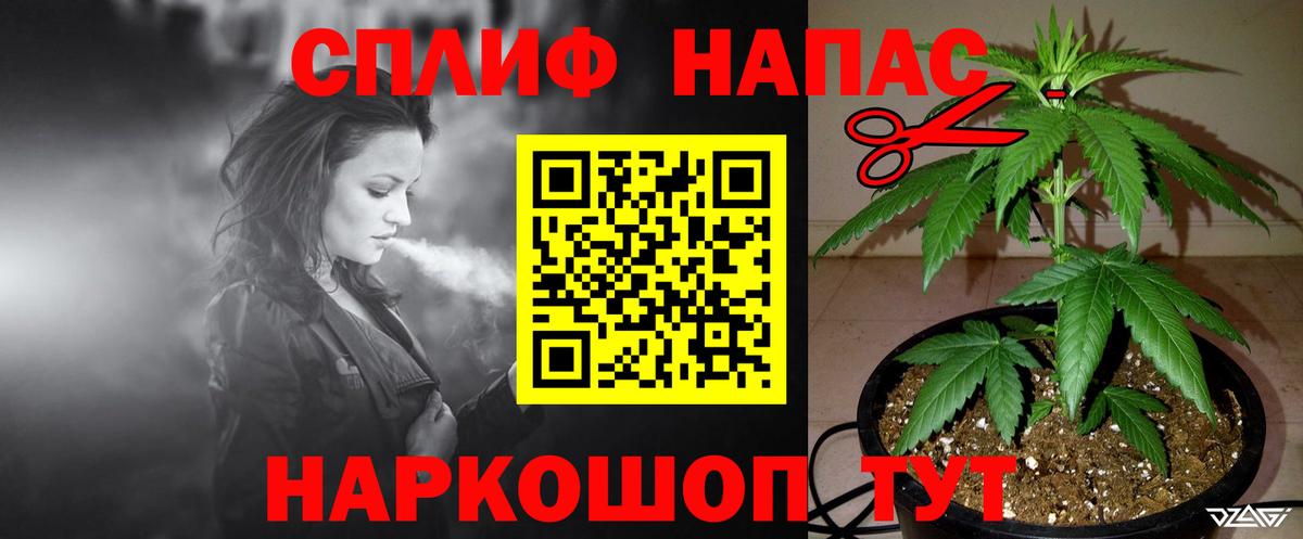 Канабис MAZAR Назрань